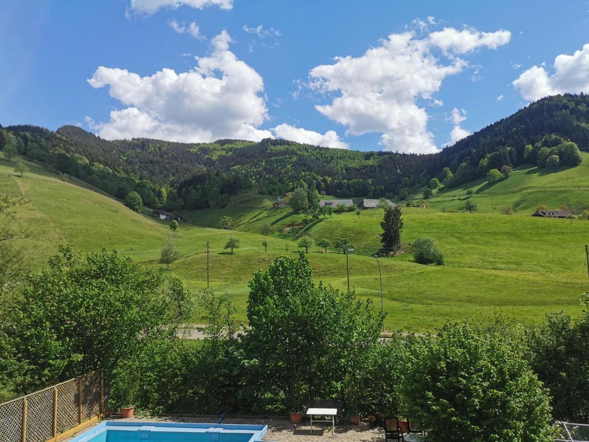 Ferienwohnung Vogelsang Im Schwarzwald Münstertal Zewnętrze zdjęcie