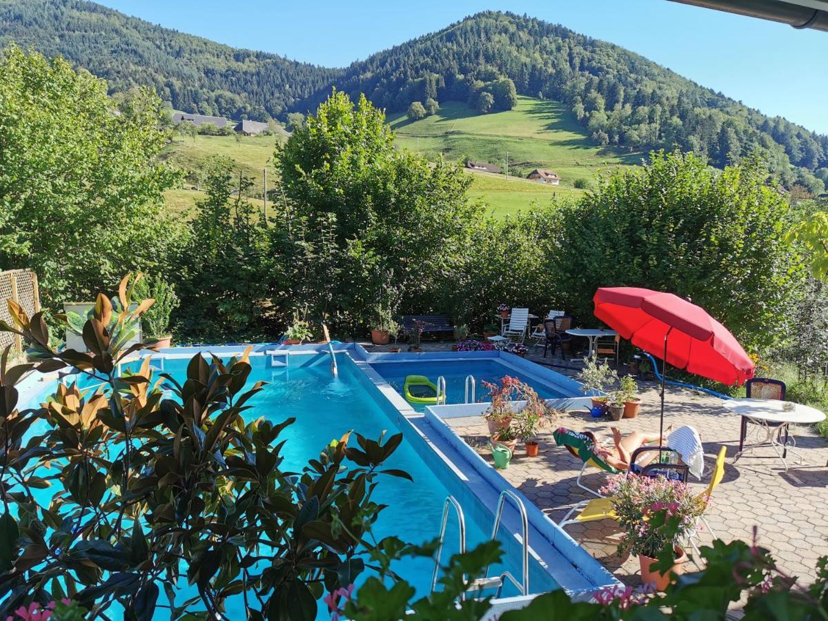 Ferienwohnung Vogelsang Im Schwarzwald Münstertal Zewnętrze zdjęcie