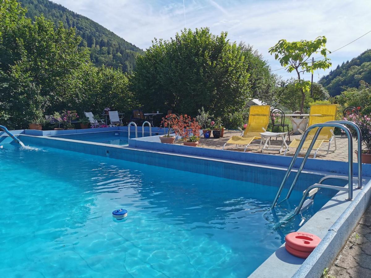 Ferienwohnung Vogelsang Im Schwarzwald Münstertal Zewnętrze zdjęcie