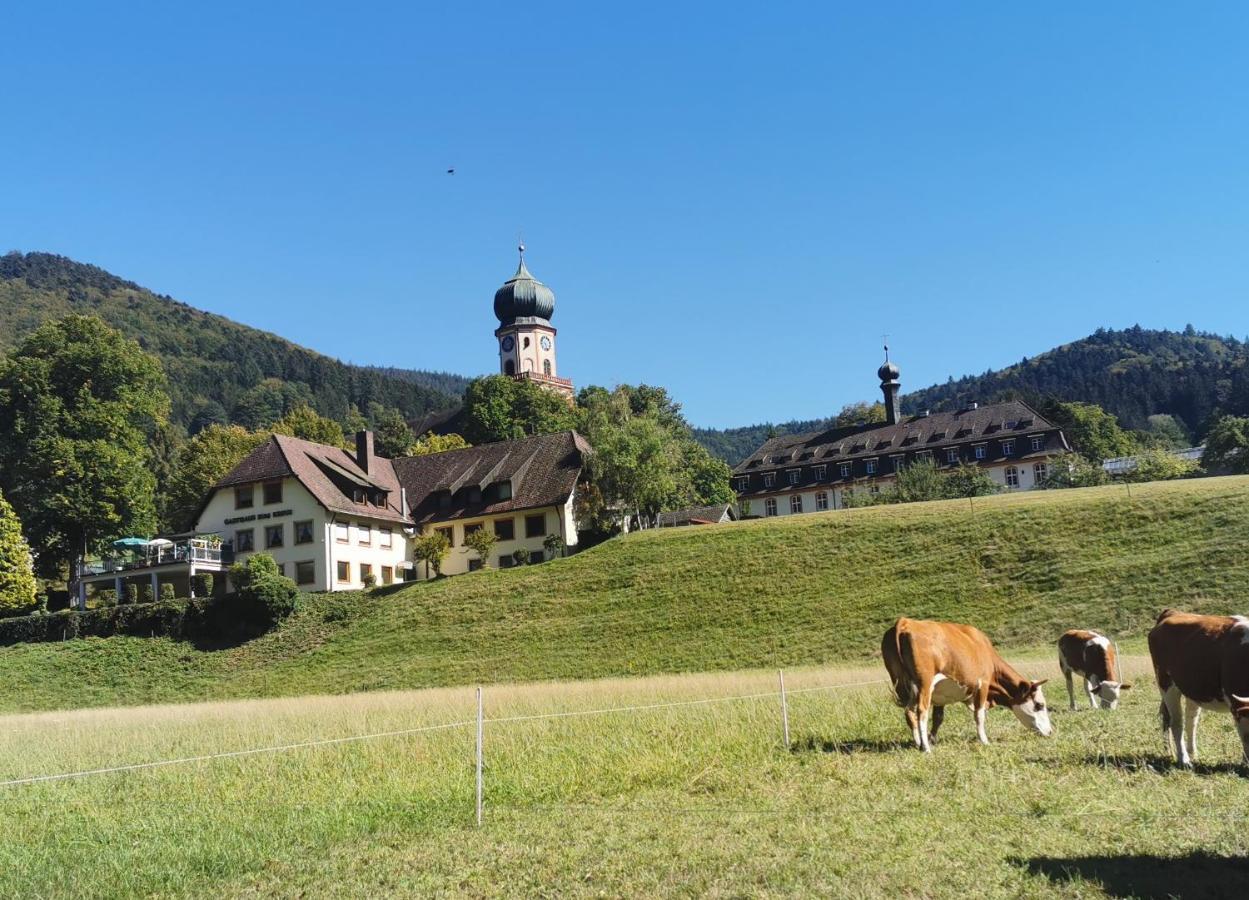 Ferienwohnung Vogelsang Im Schwarzwald Münstertal Zewnętrze zdjęcie