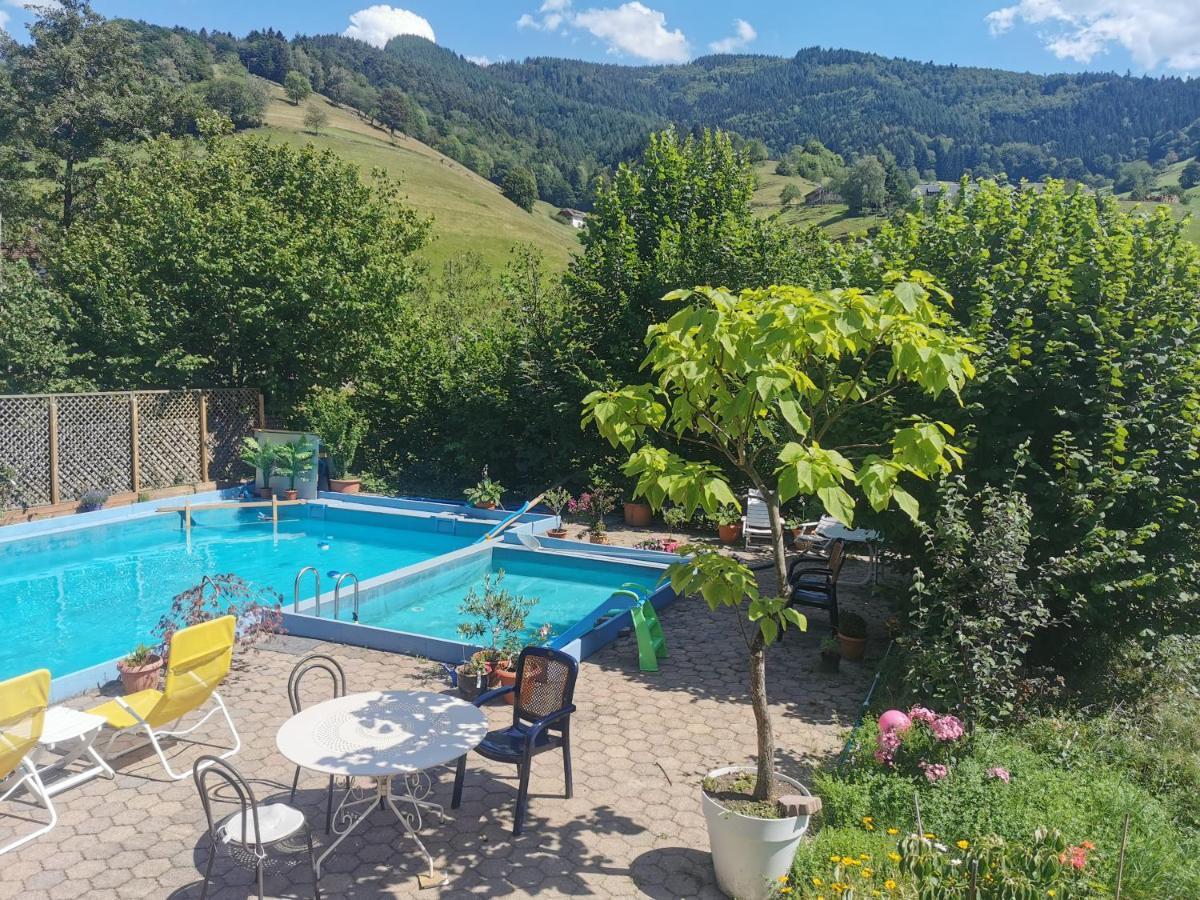 Ferienwohnung Vogelsang Im Schwarzwald Münstertal Zewnętrze zdjęcie