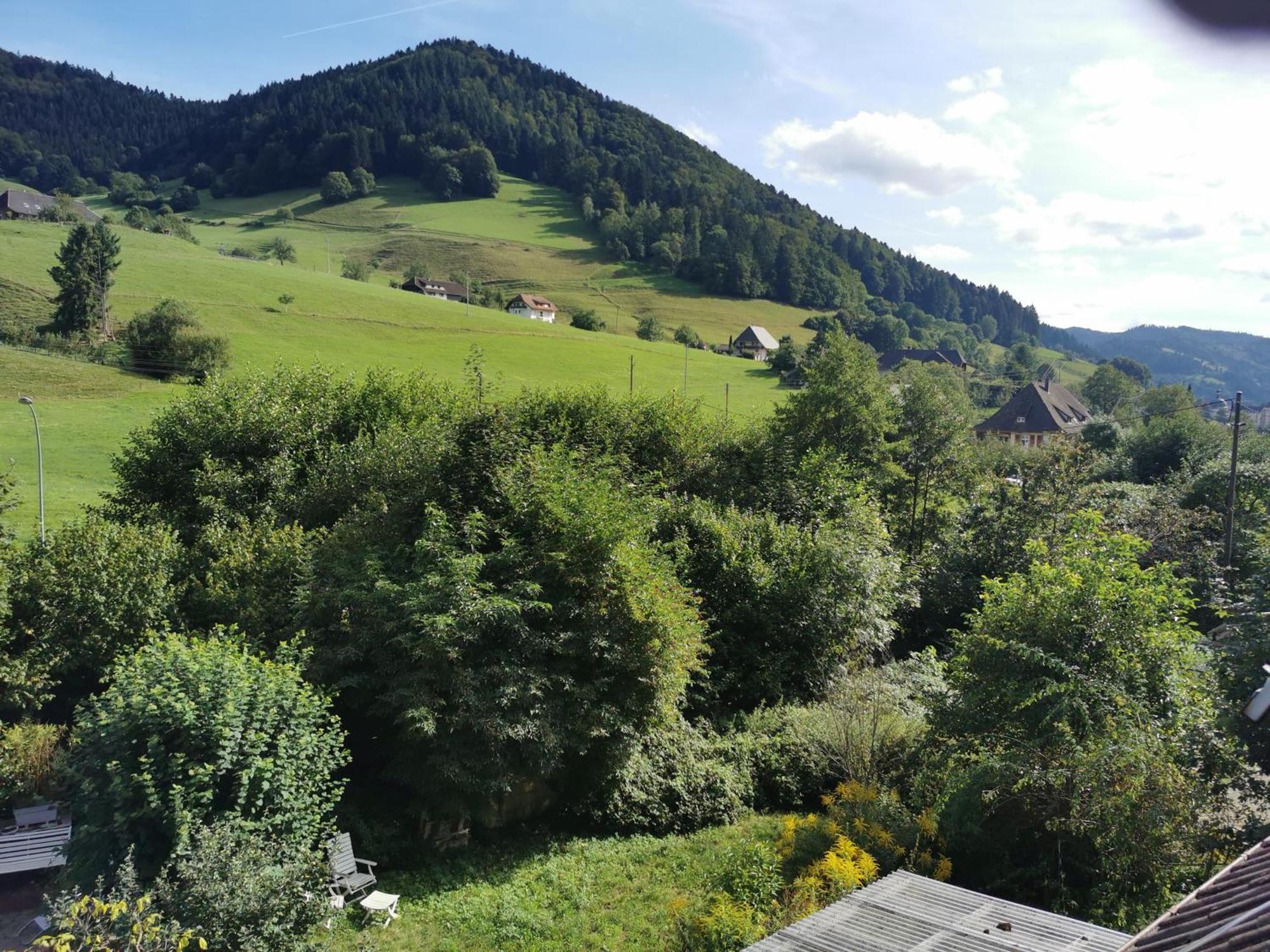 Ferienwohnung Vogelsang Im Schwarzwald Münstertal Zewnętrze zdjęcie
